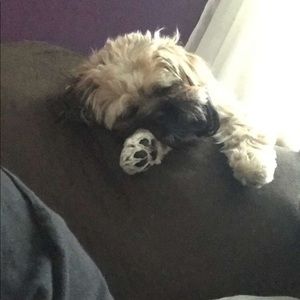 Meet your Posher, Ashley